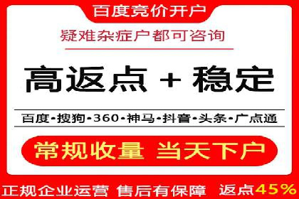 百度SEO推广实战：行业领先企业的成功之道